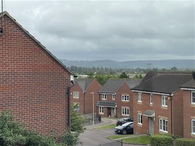 Picture 17